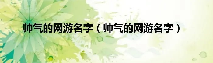 帅气的网游名字（帅气的网游名字）