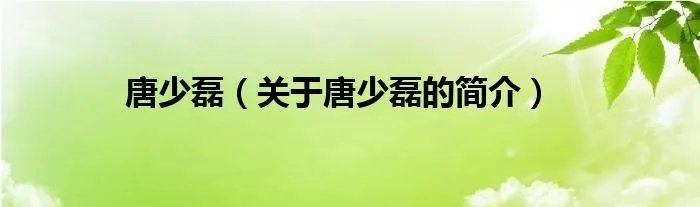 唐少磊（关于唐少磊的简介）