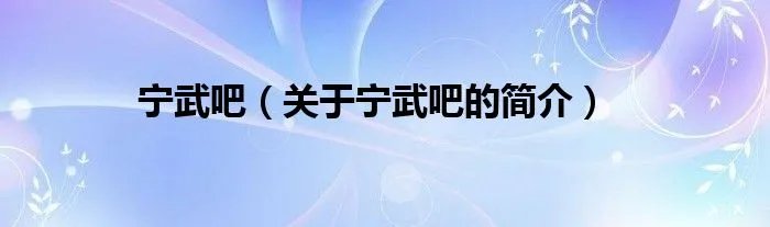 宁武吧（关于宁武吧的简介）