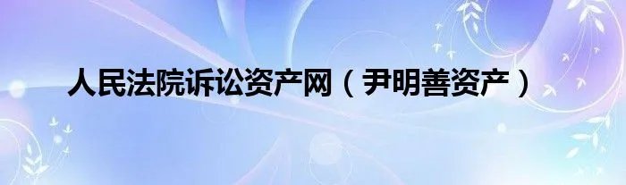 人民法院诉讼资产网(尹明善资产)