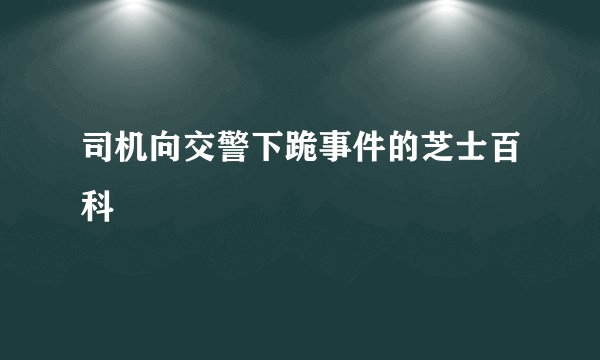 司机向交警下跪事件的芝士百科