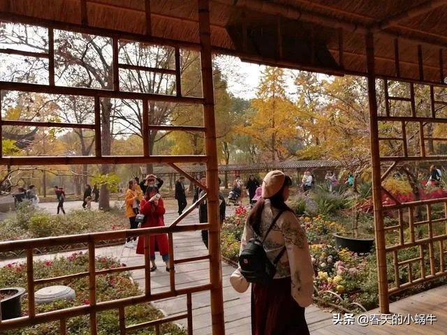 带着梦想去旅游,你想和谁一起?