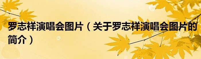 罗志祥演唱会图片（关于罗志祥演唱会图片的简介）
