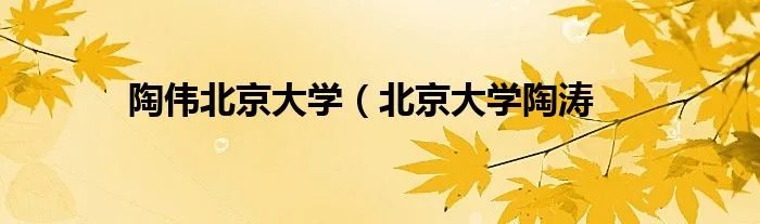 陶伟北京大学(北京大学陶涛