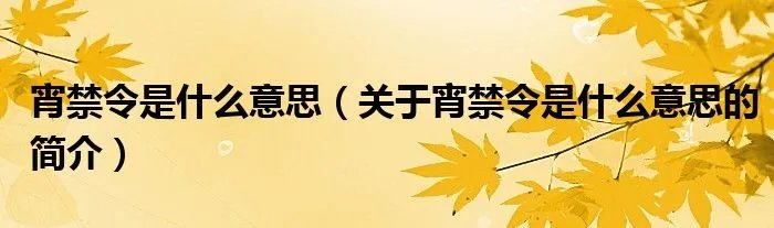宵禁令是什么意思（关于宵禁令是什么意思的简介）