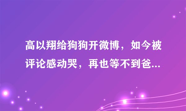 高以翔给狗狗开微博，如今被评论感动哭，再也等不到爸爸回来了