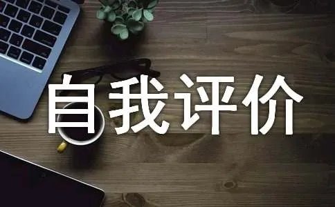 IT工作能力自我评价
