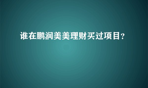 谁在鹏润美美理财买过项目？