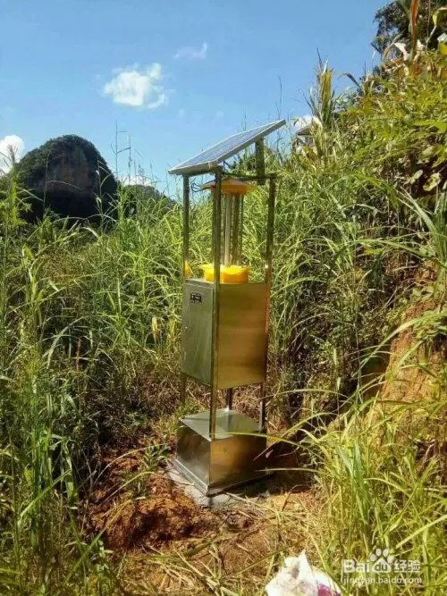 农业杀虫灯有哪些分类?各有什么作用?