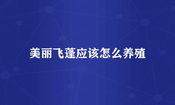 美丽飞蓬应该怎么养殖