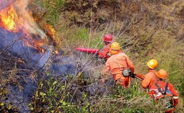 福建漳浦大埔村突发山火,山火发生的原因都有什么?