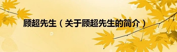 顾超先生（关于顾超先生的简介）
