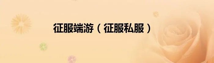 征服端游（征服私服）