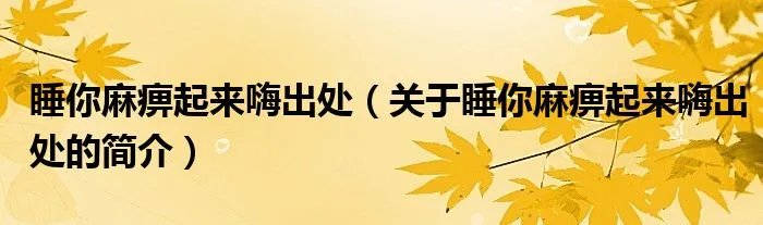 睡你麻痹起来嗨出处（关于睡你麻痹起来嗨出处的简介）
