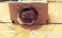 夏天到了，国际八大丝袜品牌推荐（建议收藏）