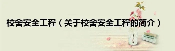 校舍安全工程（关于校舍安全工程的简介）