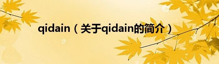 qidain（关于qidain的简介）
