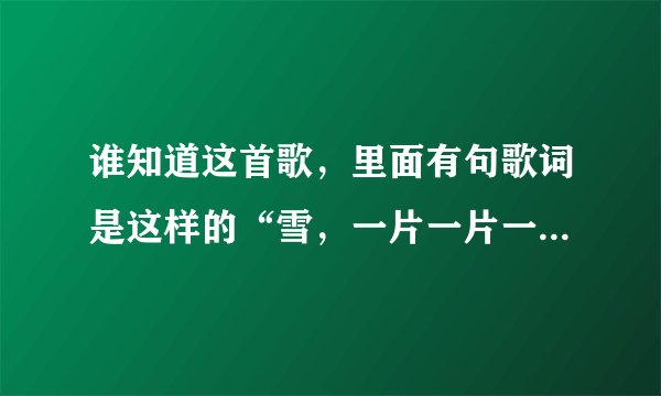 谁知道这首歌，里面有句歌词是这样的“雪，一片一片一片一片”，谢谢！