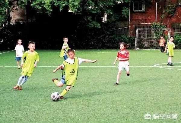 中国vs威尔士