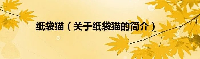 纸袋猫（关于纸袋猫的简介）