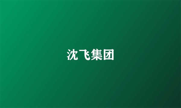 沈飞集团