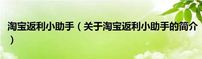 淘宝返利小助手（关于淘宝返利小助手的简介）