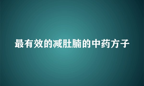 最有效的减肚腩的中药方子