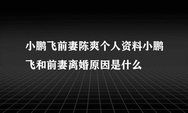 小鹏飞前妻陈爽个人资料小鹏飞和前妻离婚原因是什么