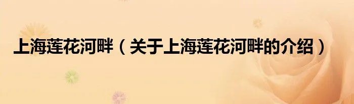 上海莲花河畔（关于上海莲花河畔的介绍）