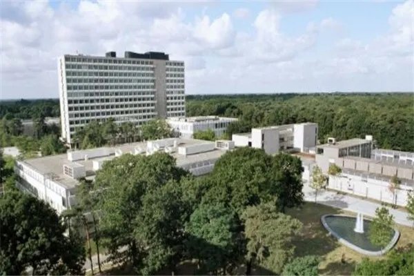 荷兰有哪些比较好的商学院?荷兰商学院排名