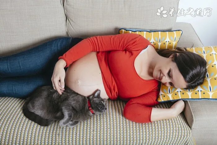 【宠物猴子】宠物猴子哪里有卖,价格贵吗?