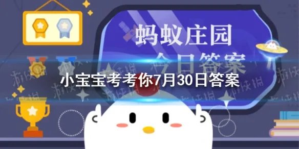 恨不相逢未嫁时是诗人拒绝什么 蚂蚁庄园恨不相逢未嫁时