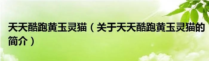 天天酷跑黄玉灵猫（关于天天酷跑黄玉灵猫的简介）
