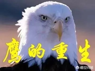 要想改变明天