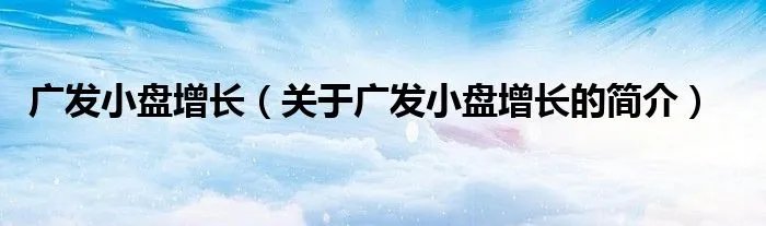 广发小盘增长（关于广发小盘增长的简介）