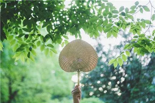 2021年5月5日立夏准确时间几点几分？立夏是不是就是夏天了？