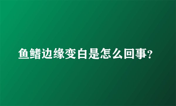 鱼鳍边缘变白是怎么回事?