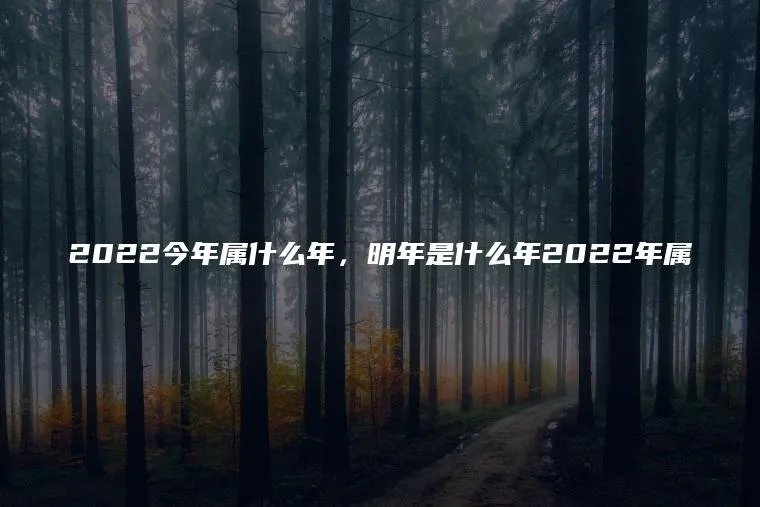 2022今年属什么年，明年是什么年2022年属