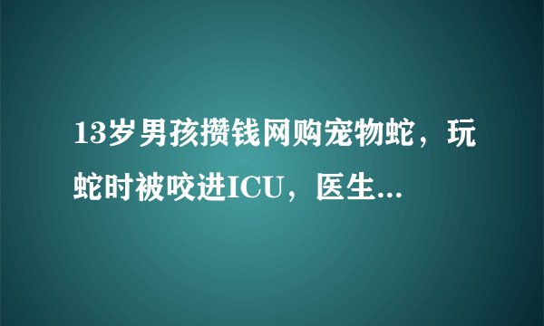 13岁男孩攒钱网购宠物蛇,玩蛇时被咬进ICU,医生:买的是竹叶青
