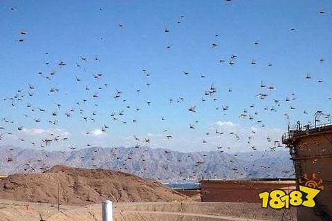 蝗虫集体出动时整整齐齐是为了？蚂蚁庄园5月20日答题答案今天