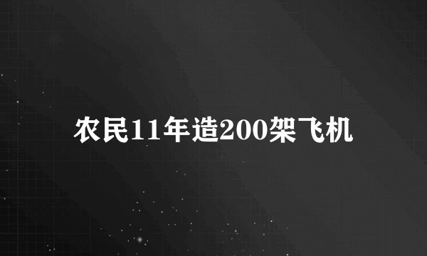 农民11年造200架飞机