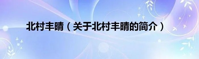 北村丰晴（关于北村丰晴的简介）