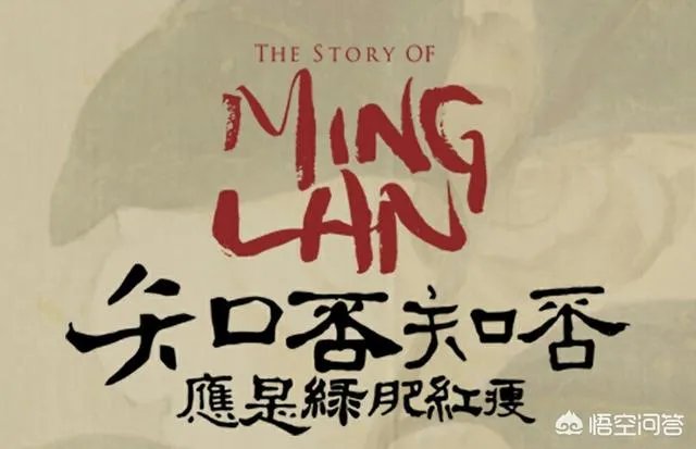 如何评价《知否知否,应是绿肥红瘦》这部剧?