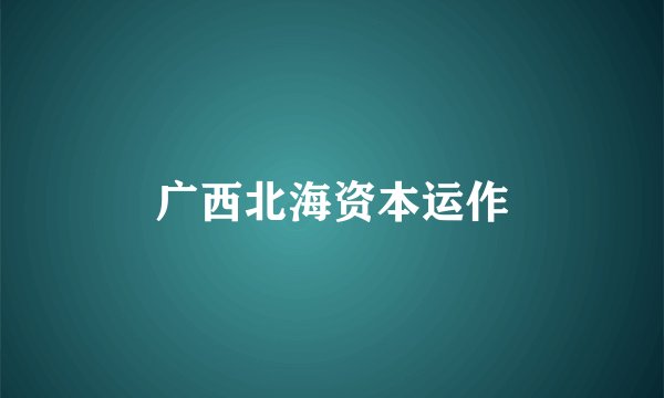 广西北海资本运作