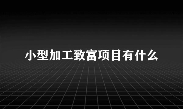 小型加工致富项目有什么