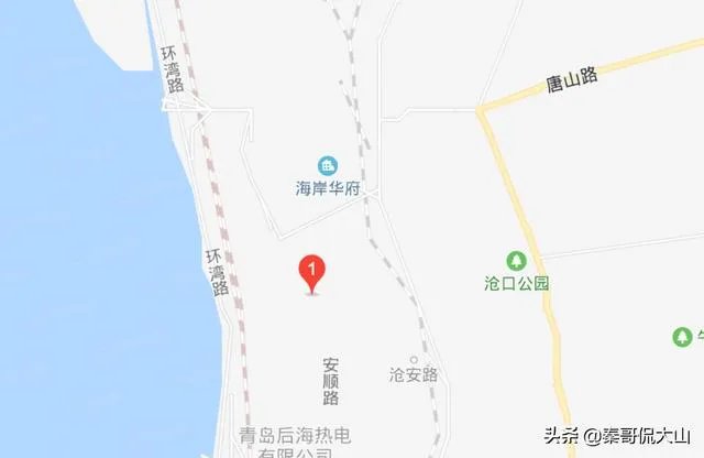 坐标青岛,首付100万内,靠地铁口,环境绿化好一点,主要考虑市南市北李沧,新房二手房都可,有推荐的吗?