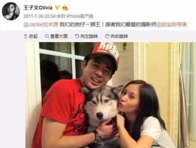 王子文老公刘丰源个人资料 王子文为什么离婚