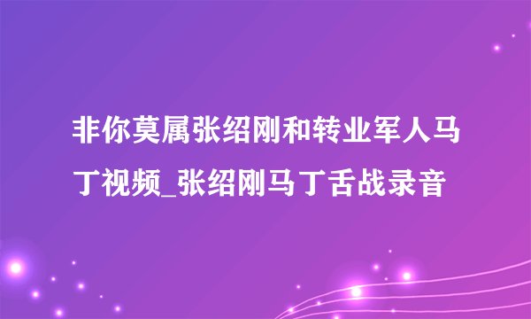 非你莫属张绍刚和转业军人马丁视频_张绍刚马丁舌战录音
