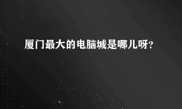 厦门最大的电脑城是哪儿呀？