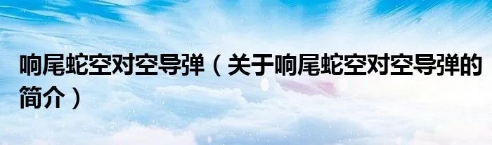 响尾蛇空对空导弹（关于响尾蛇空对空导弹的简介）
